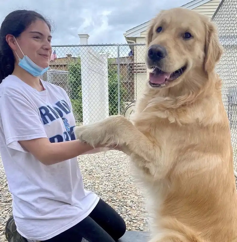 A team member kneeling on the gravel holding a golden retriever's front paws