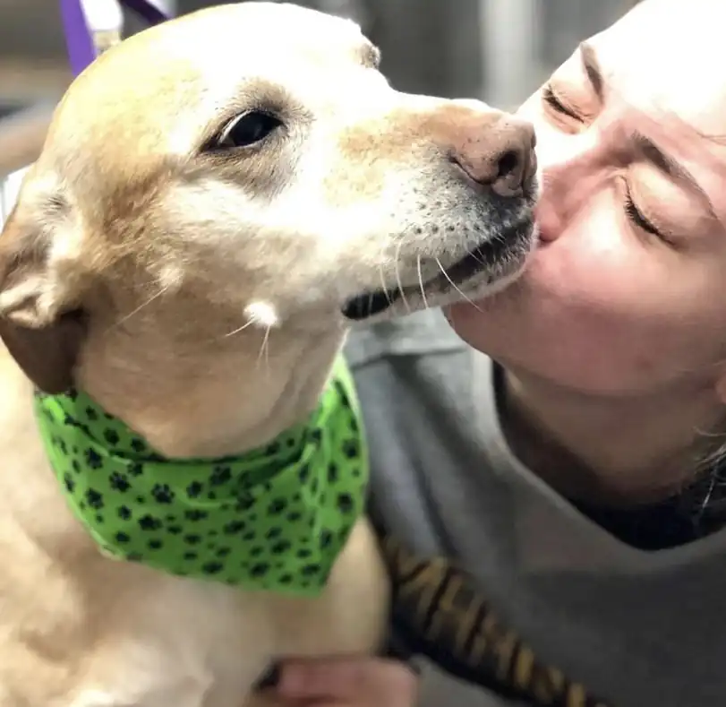A team member kissing a yellow dog in a green bandana